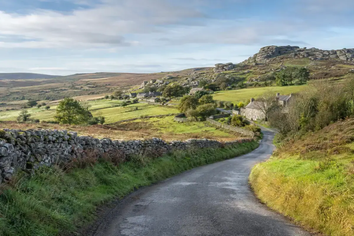 Dartmoor ponies in the landscape